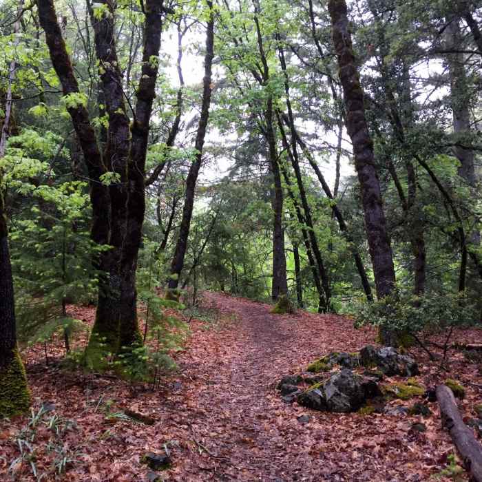 Near Snow Mountain via Deafy Glade