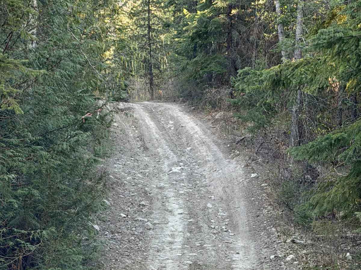 Harper Lake Road photo 4