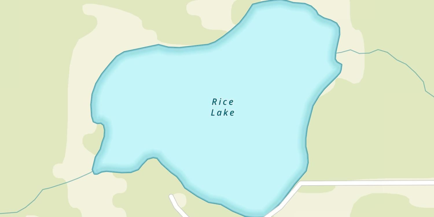 Rice Lake