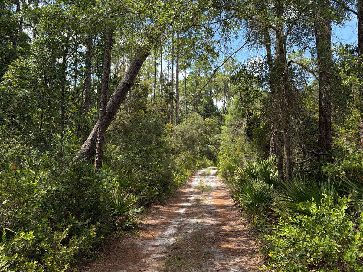 North Grasshopper Lake Trail trail photo