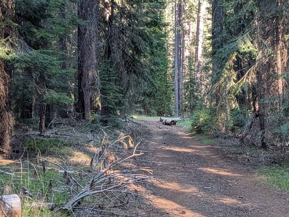 Big Sand Flat - FS 40N17 trail photo