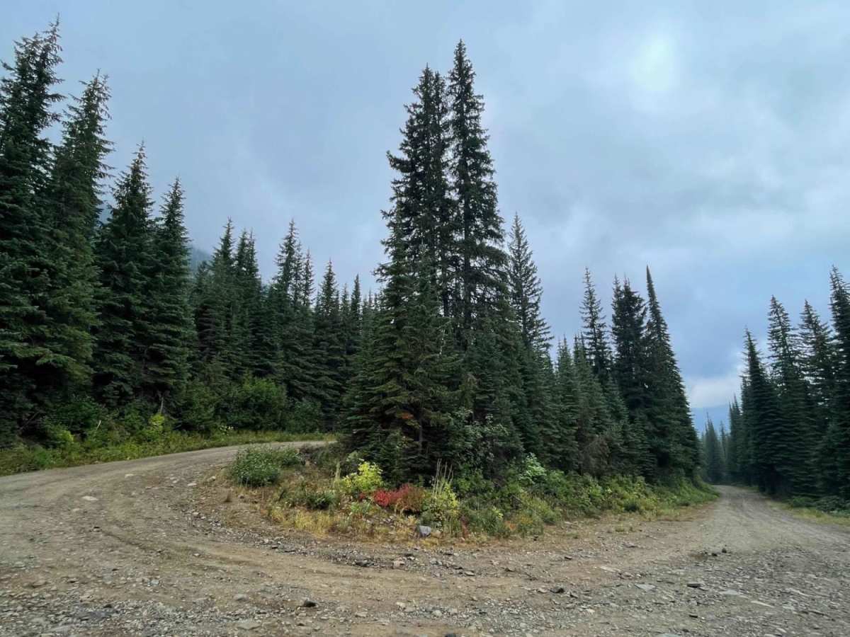 Moose Creek Trailhead photo 4