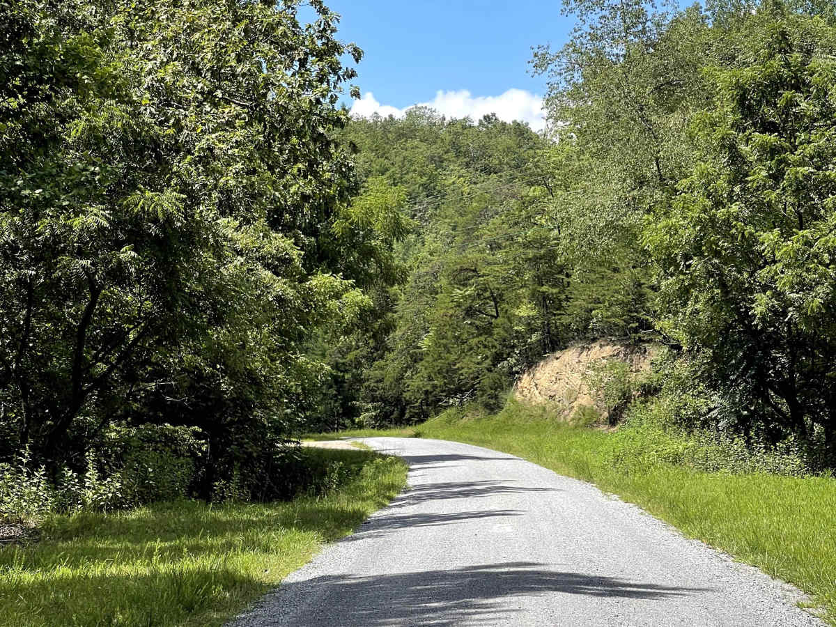 Route 818 photo 5