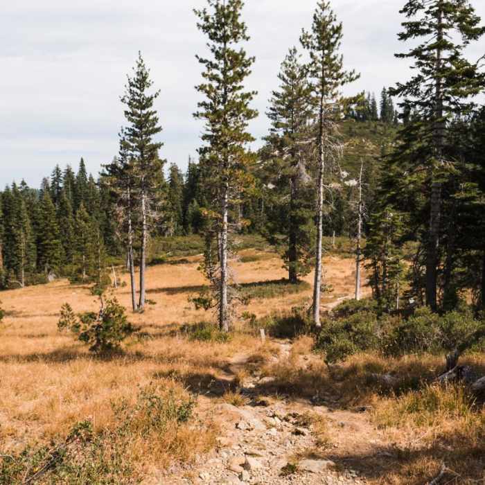 Near Little Castle Lake