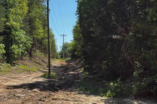 Powerlines