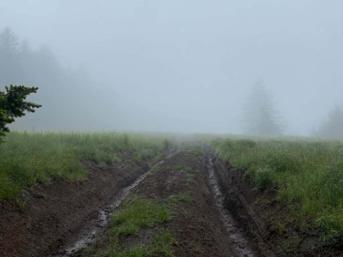 Prairie Peak photo 3