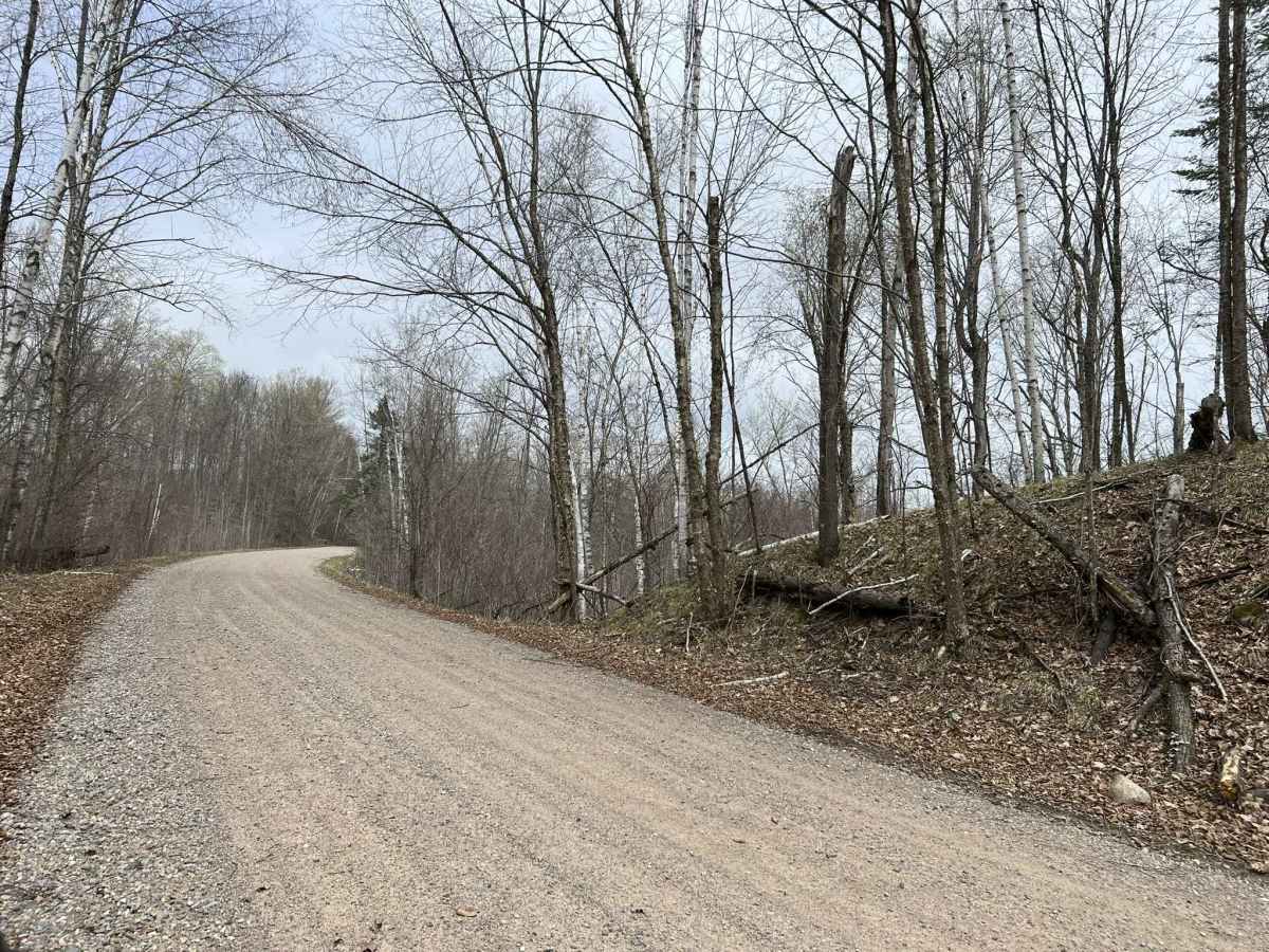 Saul Springs Road photo 3