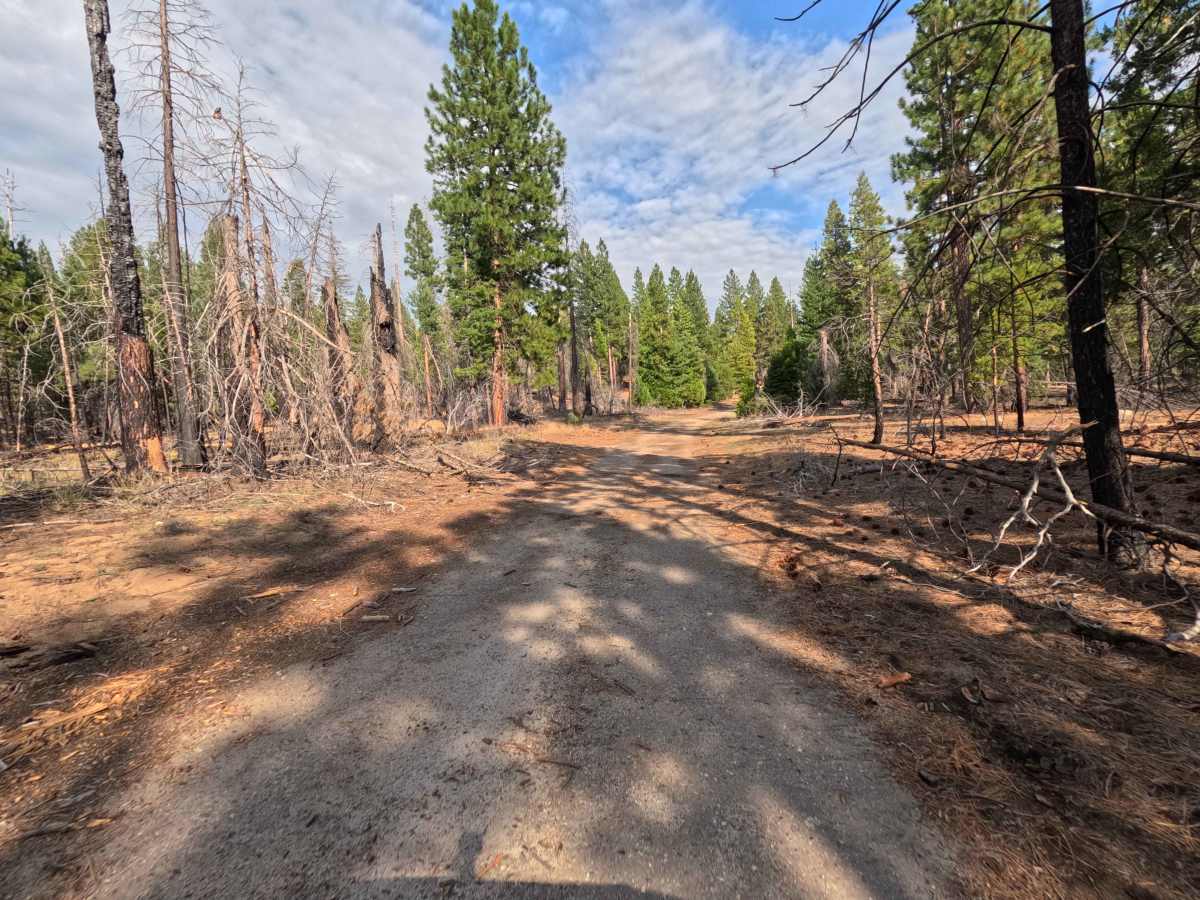 Kaiser Creek - FS 6S027 photo 2