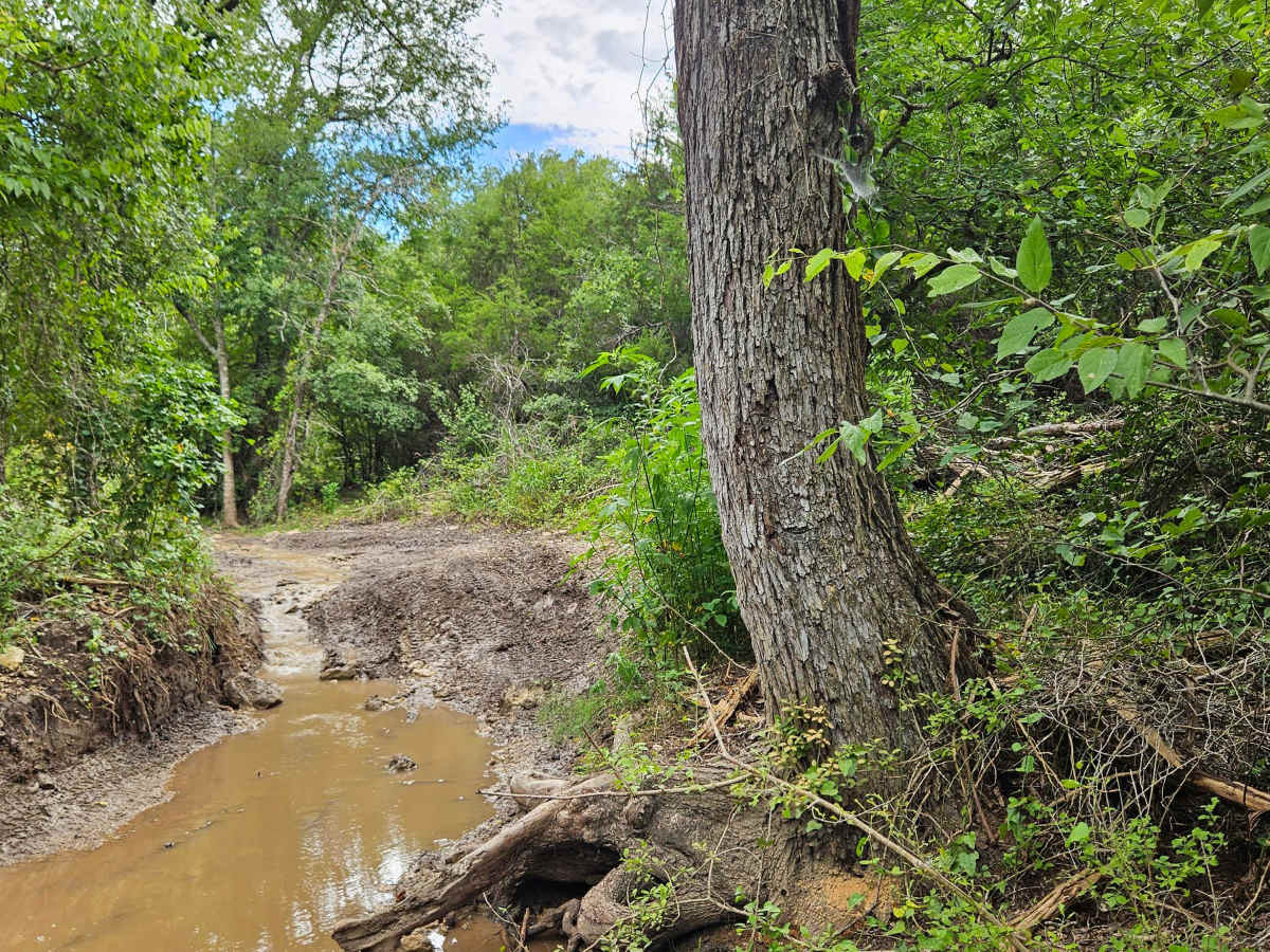 Captain Call Creek trail photo