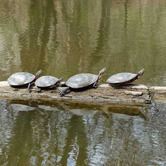 Near Don Valley Trail