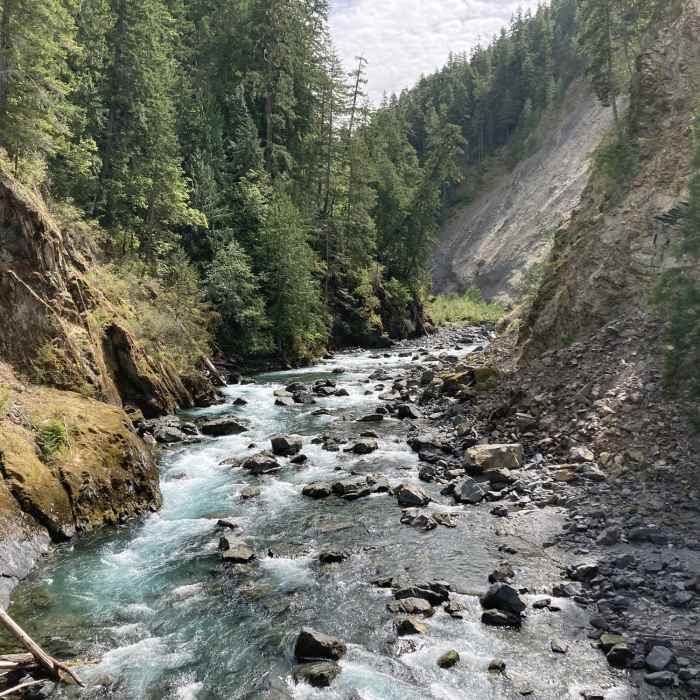 View looking south on Dodger Point Bridge. Near Long Ridge Trail