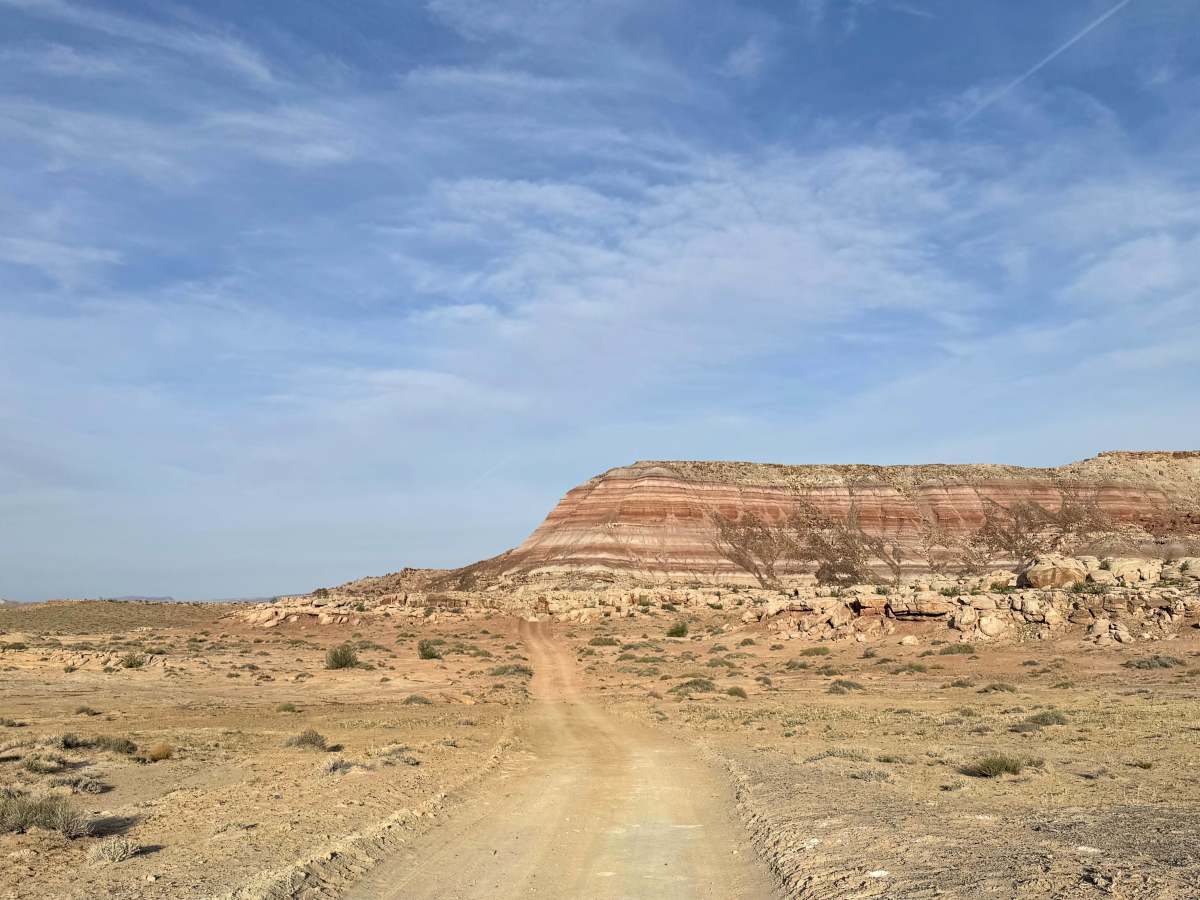 Fossil Point photo 5