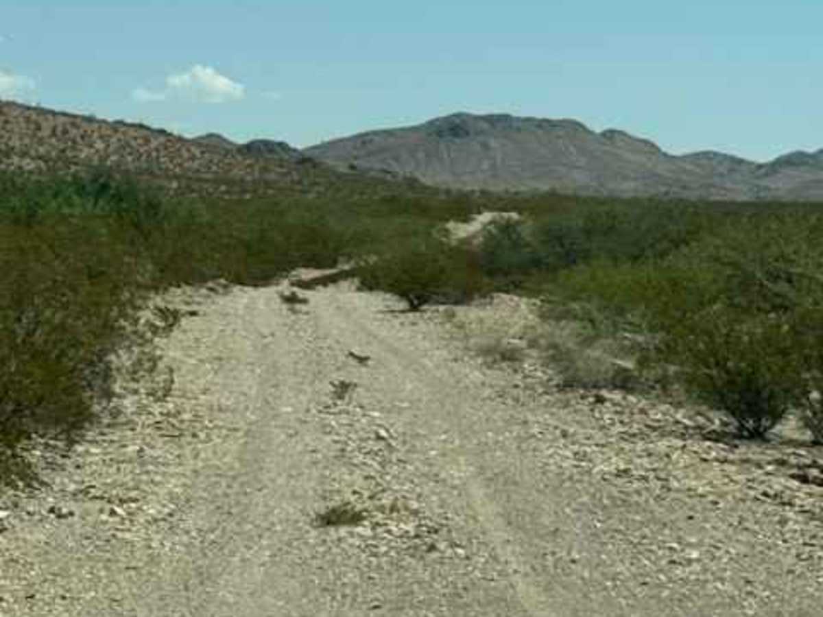 SS1168 trail photo