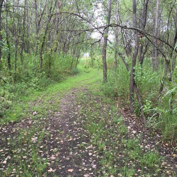 Near Knebler Pond Loop