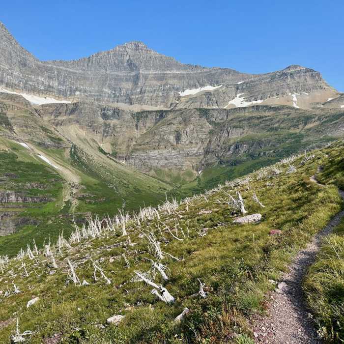 Near Continental Divide Trail: Siyeh Pass Alternate