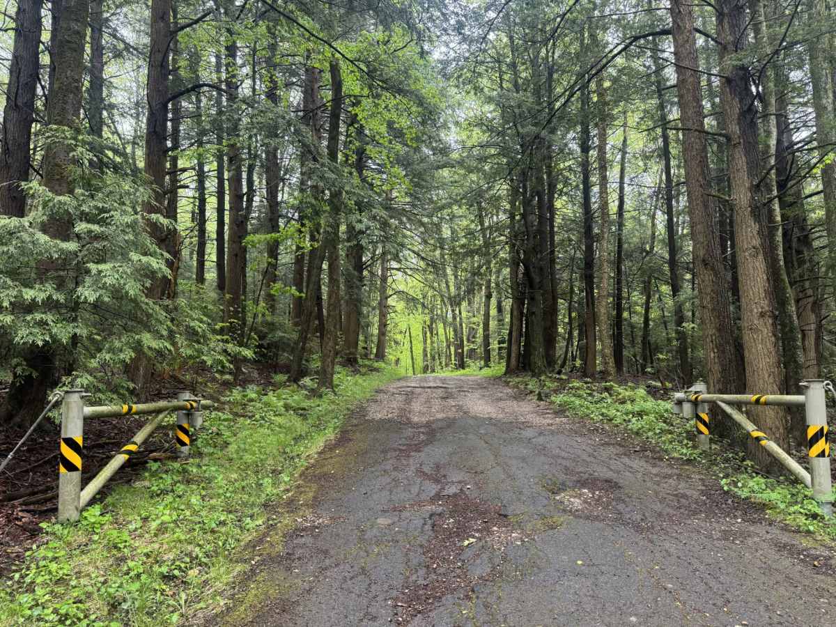 Beartown Mountain Road trail photo