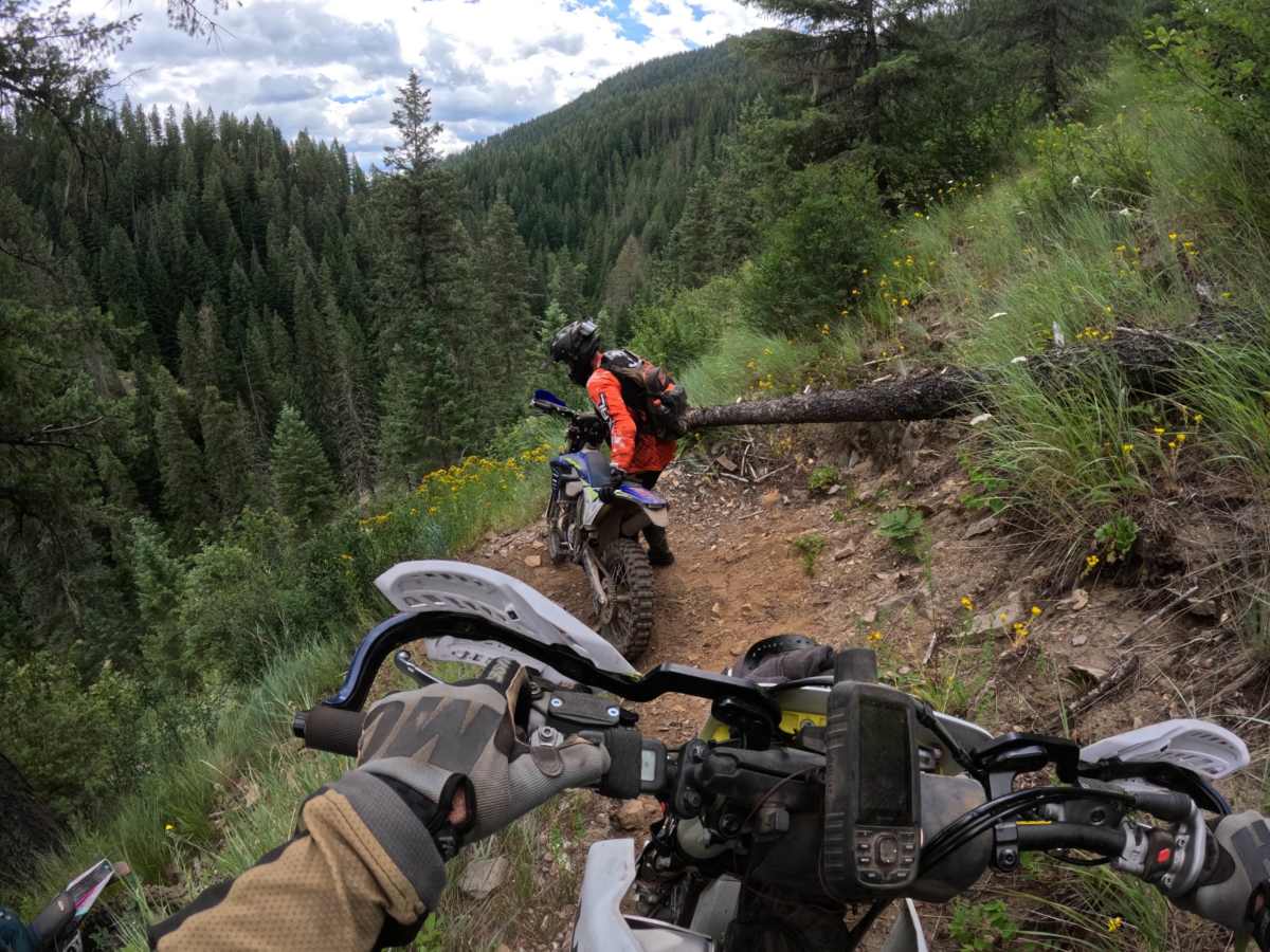 Bronson Meadows Loop trail photo