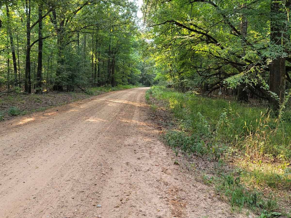 Trail to the Sulphur River photo 4
