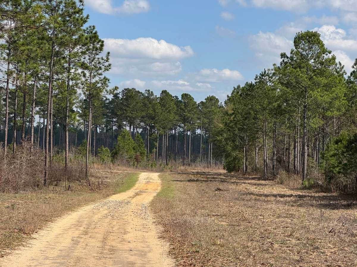 East Side Loop trail photo