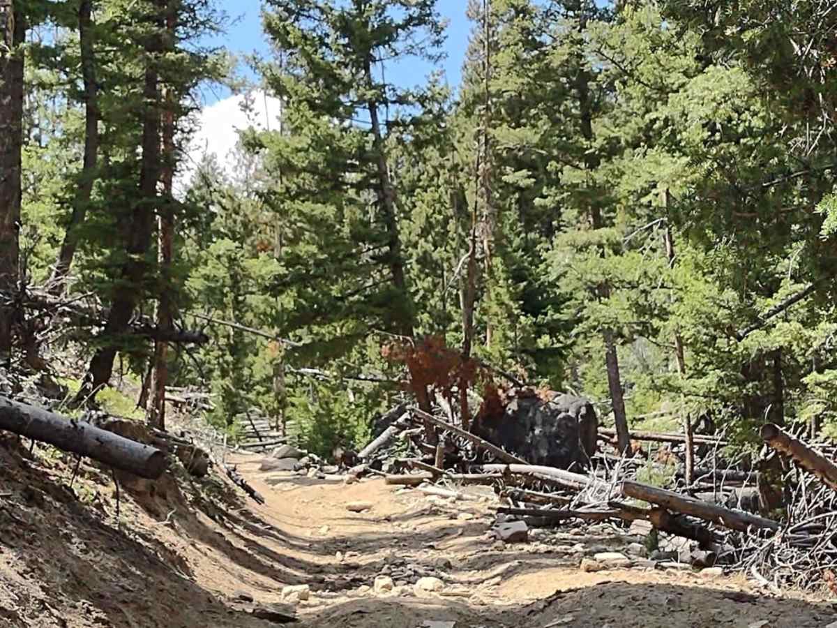 Pucker Pass to Whitetail Reservoir photo 3