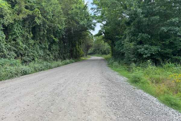 County Road 4491