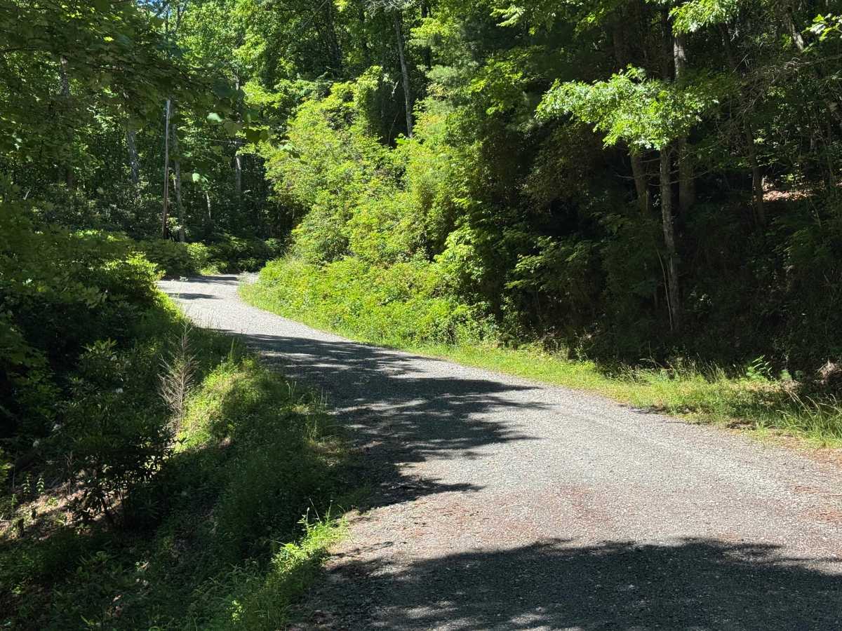 Rock Bridge Road - SR 1140 photo 4