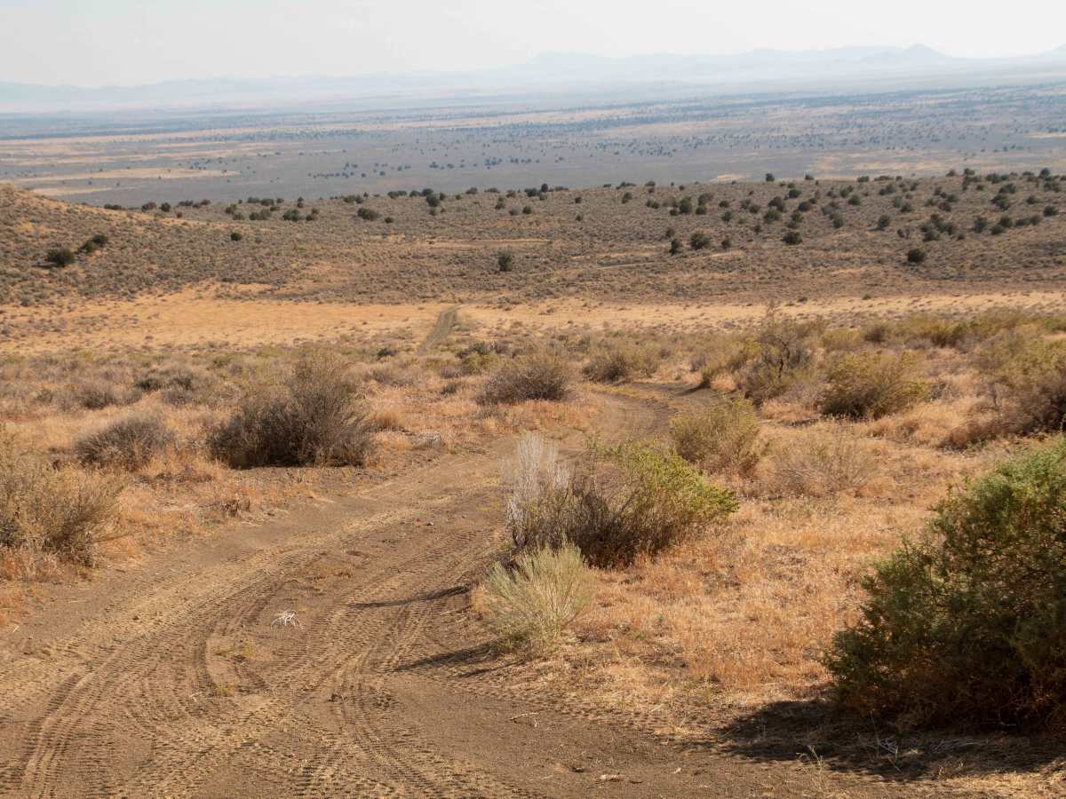 Pahvant Butte Bowl photo 3