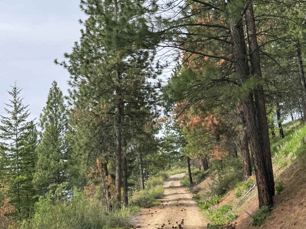 Washington Butte Trail photo 5