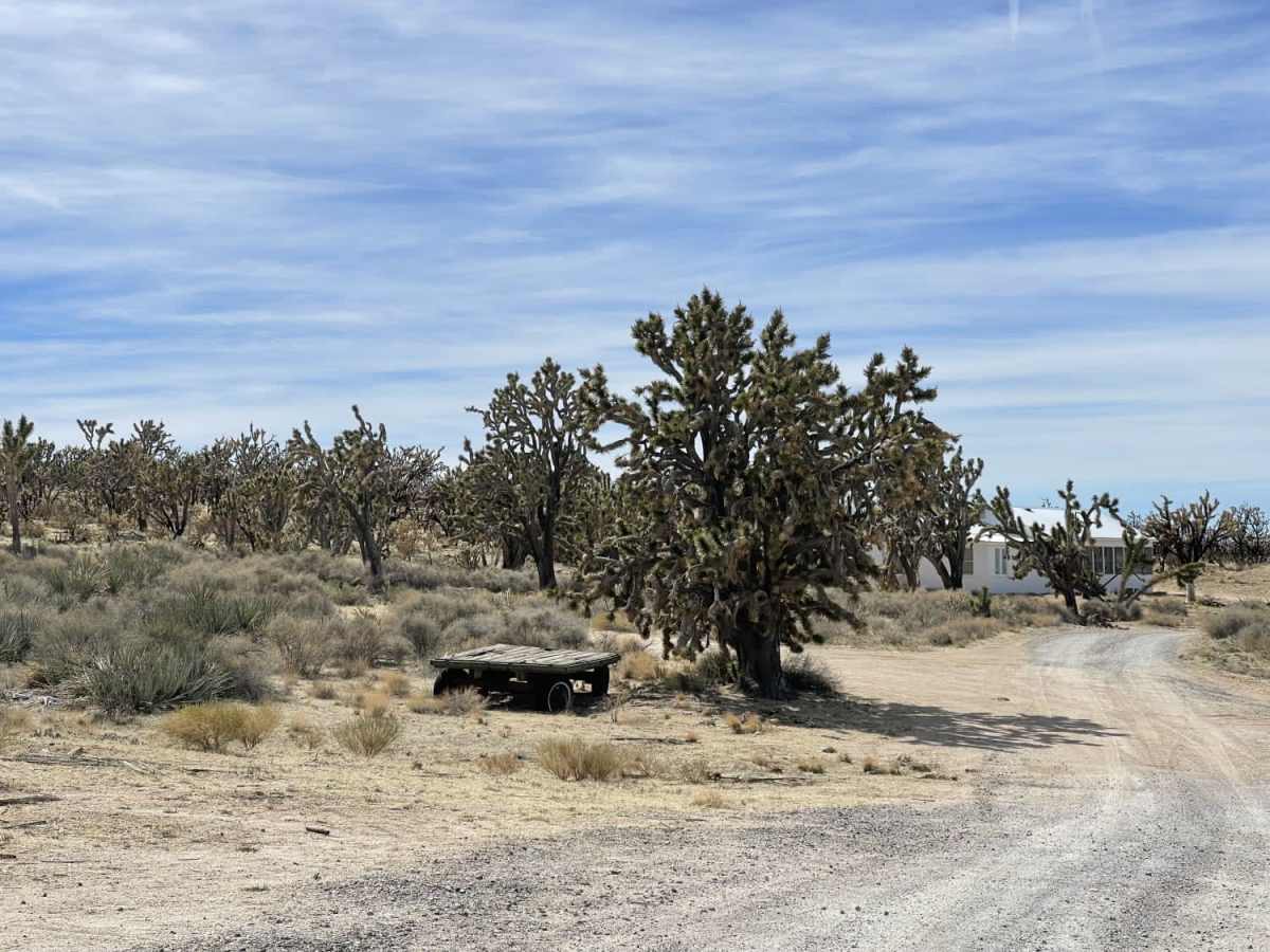 Valley View Ranch Road photo 5