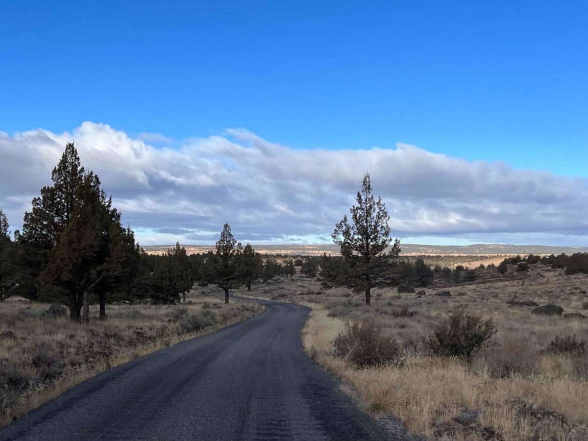 Riddle Brothers Ranch photo 6
