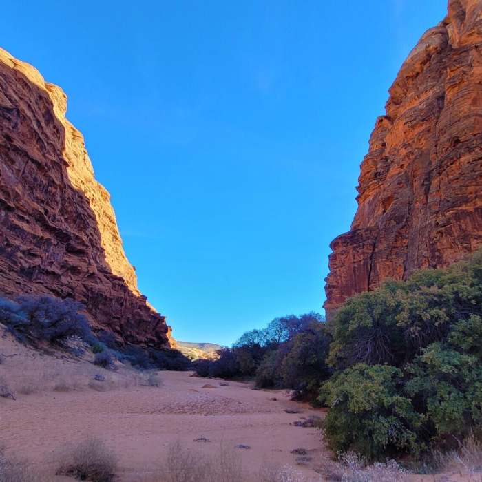 Near Red Sands Trail (Three Ponds)
