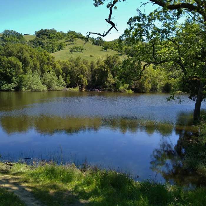Near Yerba Buena Trail