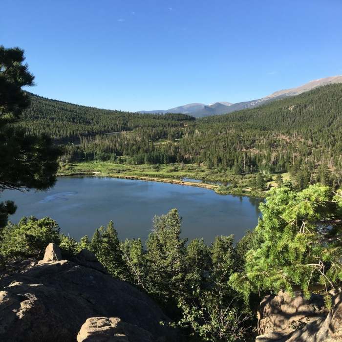 Near Lily Lake and Ridge Loop