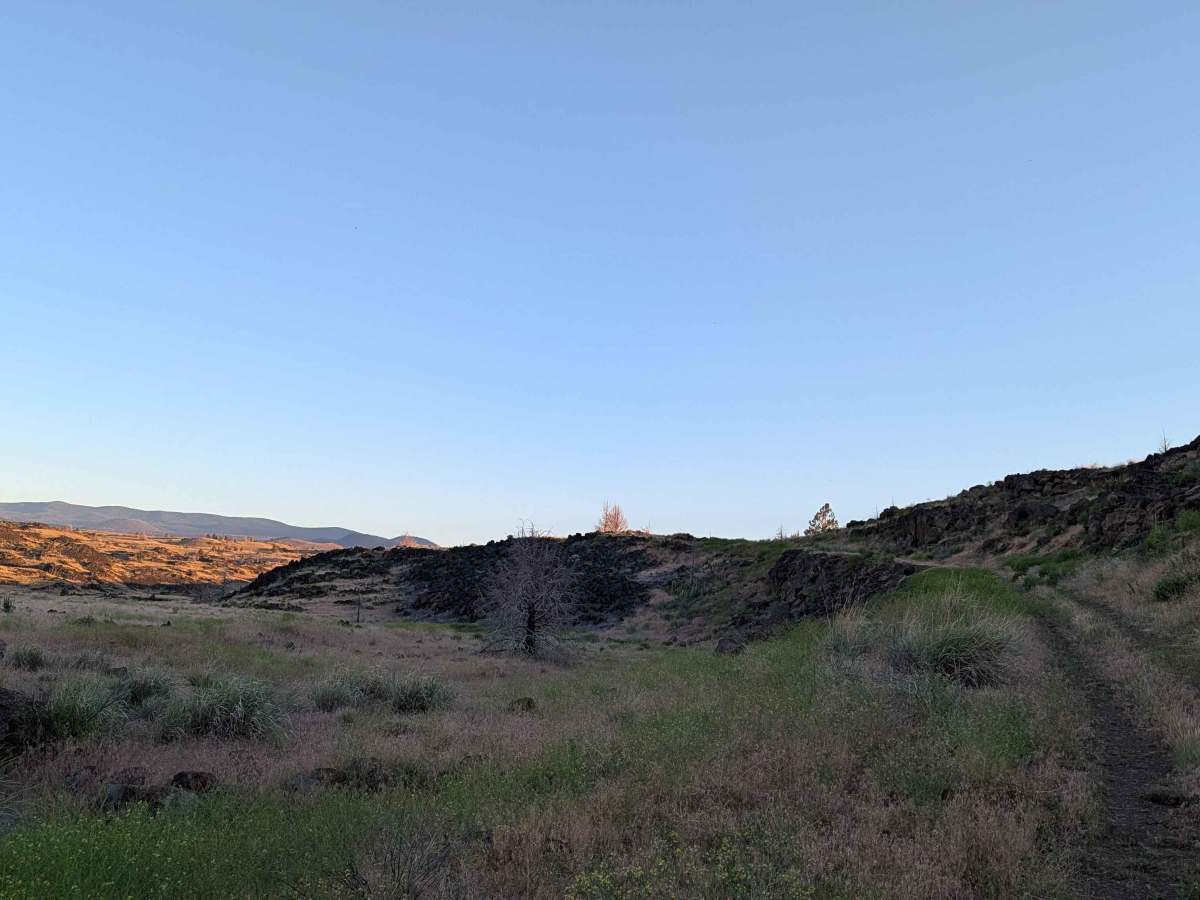 Gold Digger Pass - FS 46N21 trail photo