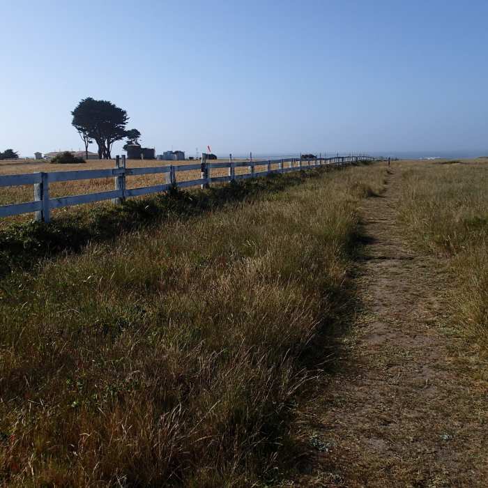 Near Lighthouse Trail