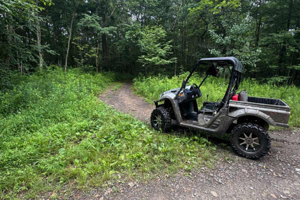 Trail 59