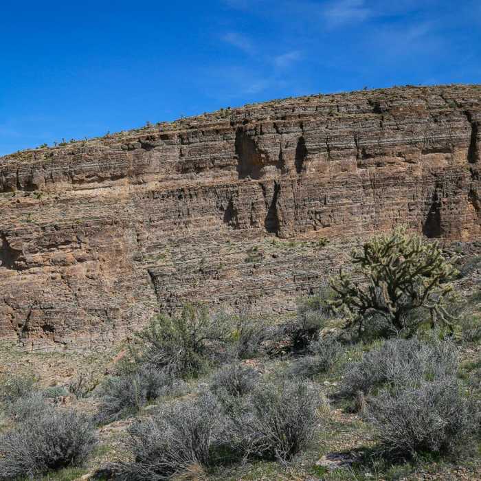 Near Las Vegas Overlook Trail