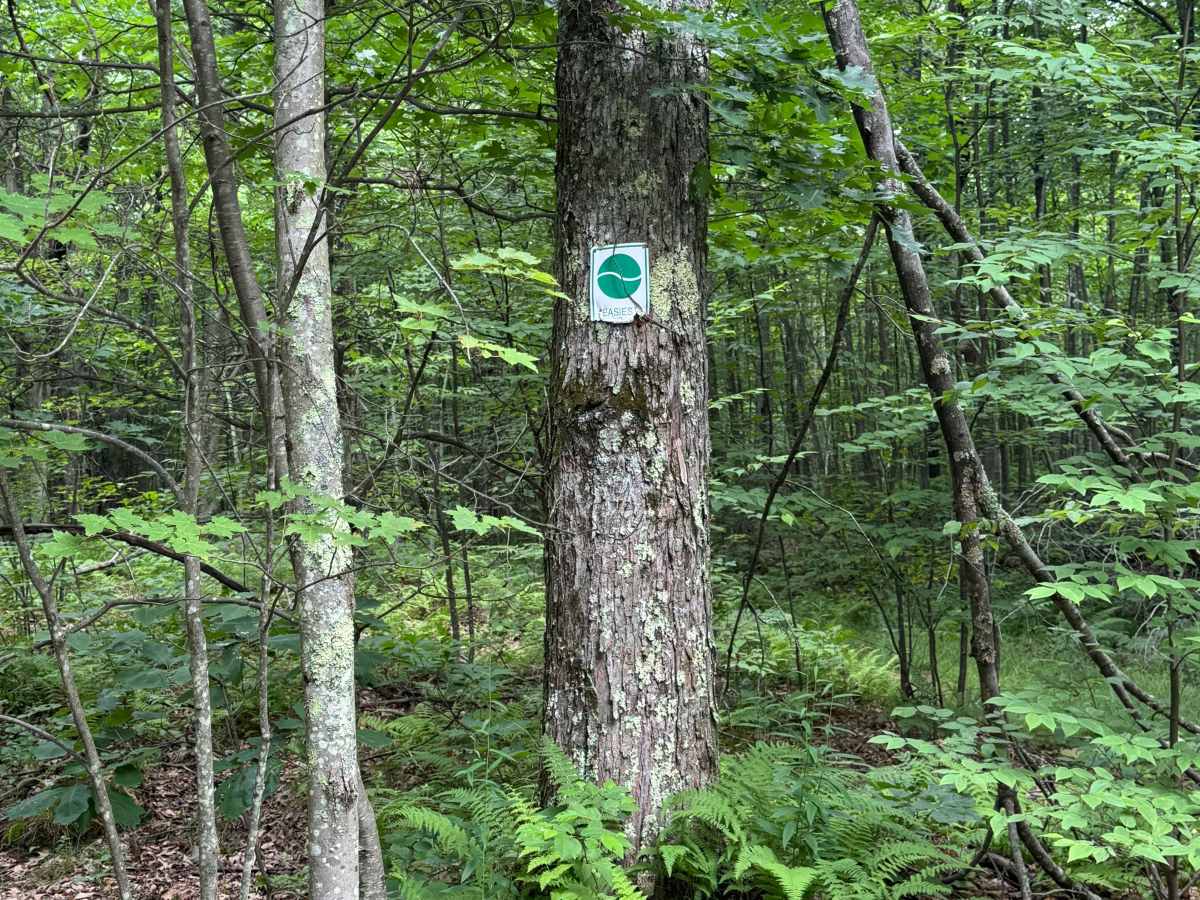 Trail 14 photo 2