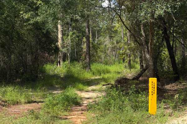 Blackwater River R72