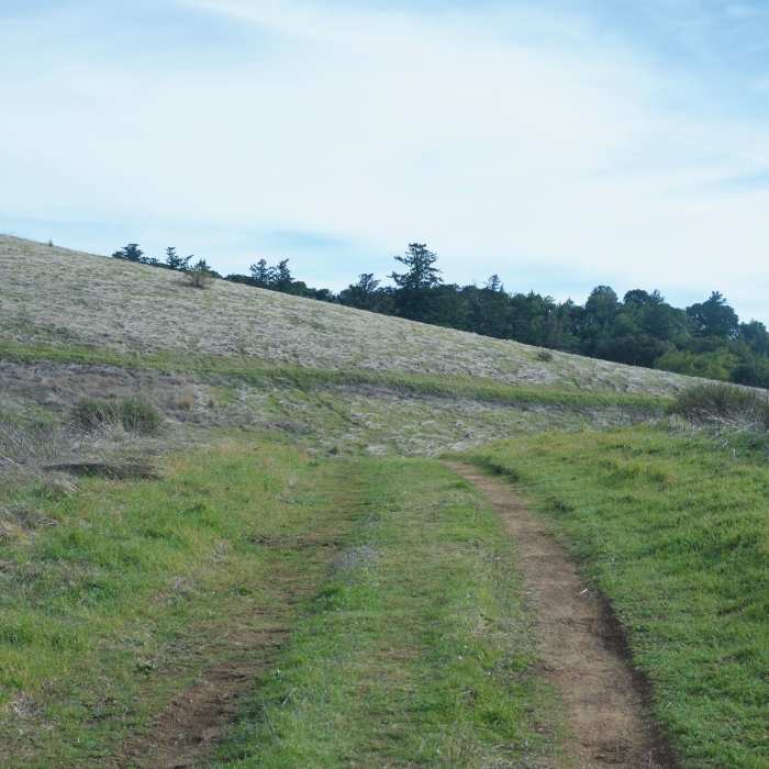 Near Alder Spring Trail