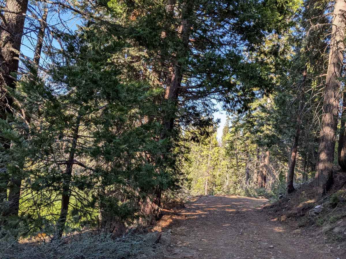 Redwood Meadow - FS 22S13 photo 4
