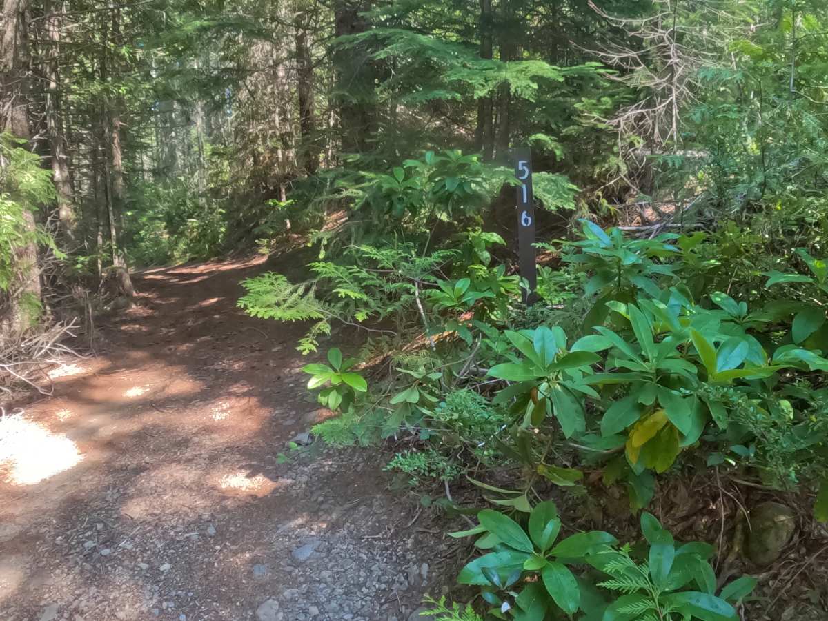 Presley Lake Turnoff - FS 2257516 trail photo