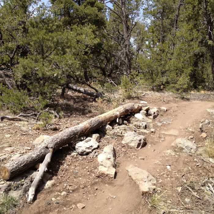 Near Otero Canyon Loop