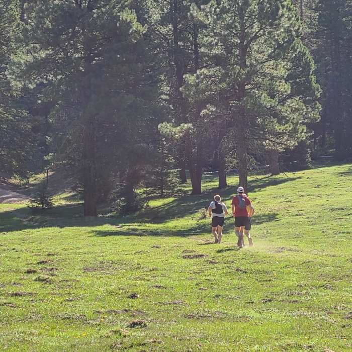 Meadow running in Calaveras Canyon. Near Calaveras Canyon Trail