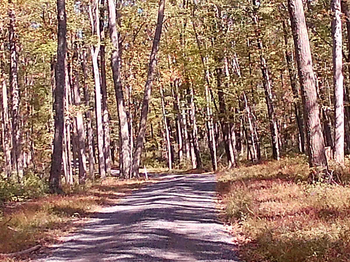 Spruce Mountain Road photo 4