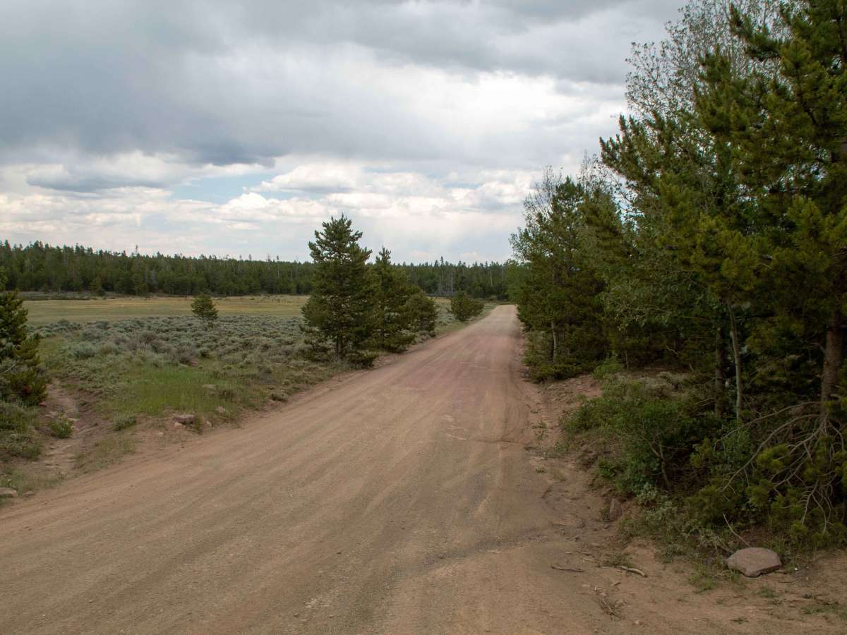 Hickerson Park-Birch Creek - FS 10221 photo 2