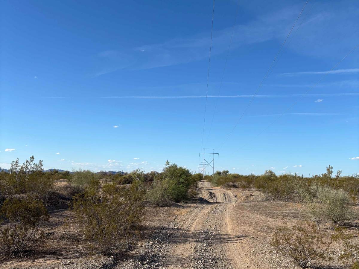 BLM 0043 photo 2