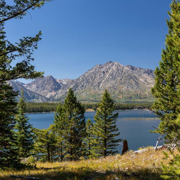 Near Hermitage Point Trail