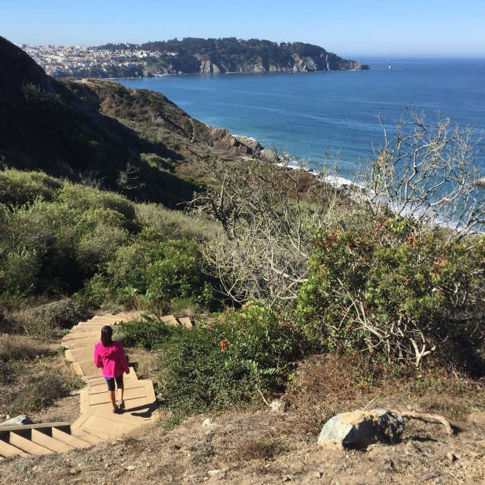 Near California Coastal Trail: Presidio