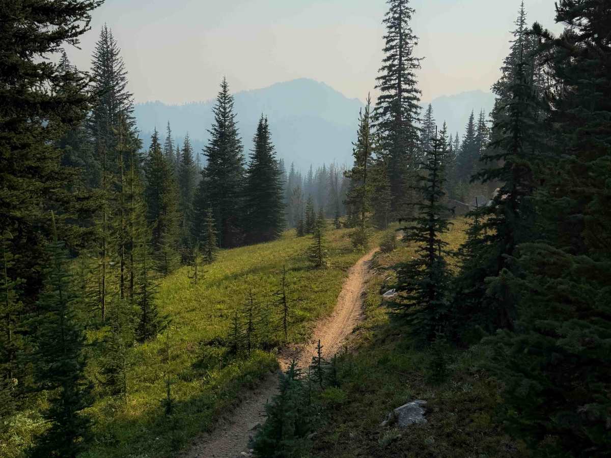 Cub Lake photo 6